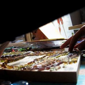 Meet your Posher, Collette